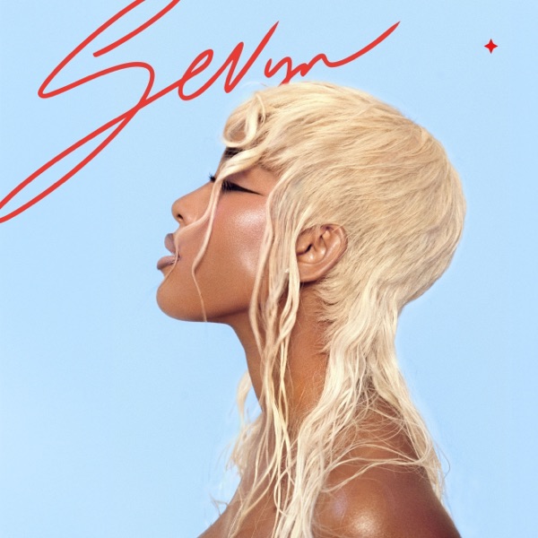 Assumptions — Sevyn Streeter