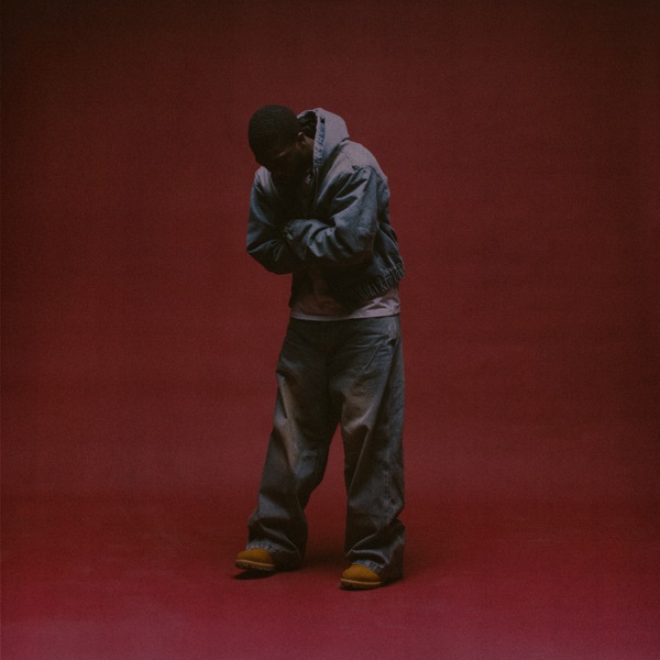 Flashing Lights — Notifi