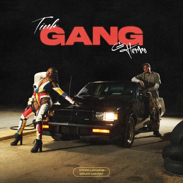 GANG — Tink & G Herbo