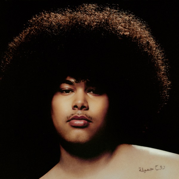 Dangerous Lover — Sekou