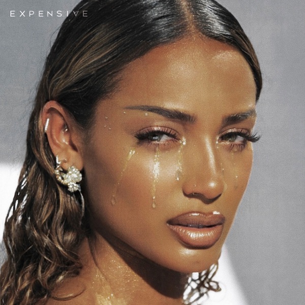 Expensive — DaniLeigh